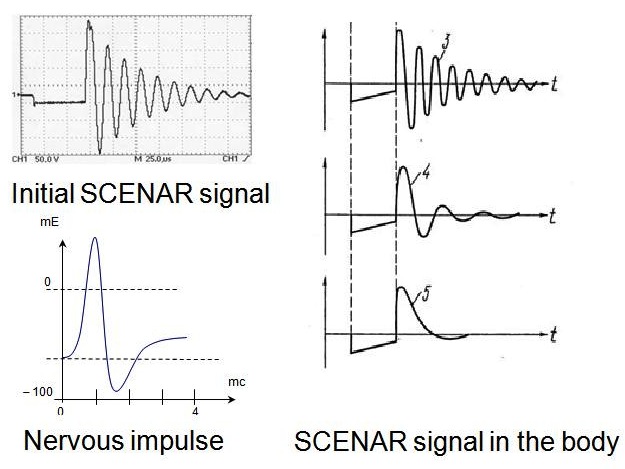 COSMODIC signal in the body